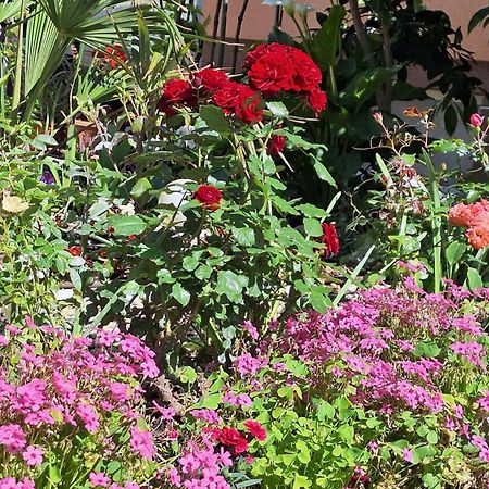באסקה Apartments Marinko מראה חיצוני תמונה